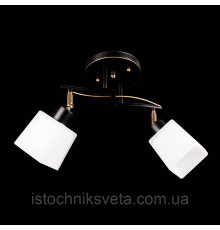 Люстра потолочная на два плафона SH-1338-2 BKG-FG