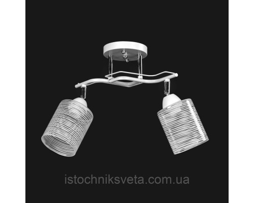 Потолочная люстра на два поворотных плафона SC-6010-2 WH+CR