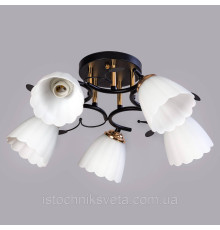 Потолочная люстра на пять плафонов SC-10134A-5 BK+FG