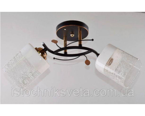 Потолочная люстра на два стеклянных плафона SC-5738-2 BK+FG