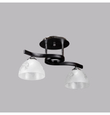 Люстра потолочная на два плафона SH-4193-2 BK