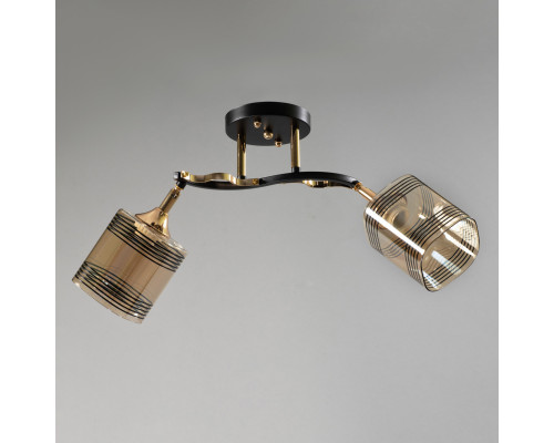 Потолочная люстра на два поворотных плафона, светильник SC-W3008-2 BK+FG