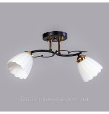 Люстра потолочная на два плафона SC-10134A-2 BK+FG