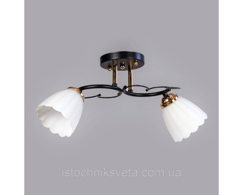 Люстра потолочная на два плафона SC-10134A-2 BK+FG
