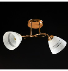 Потолочная люстра на два плафона, светильник SZ-19131-2A FGD