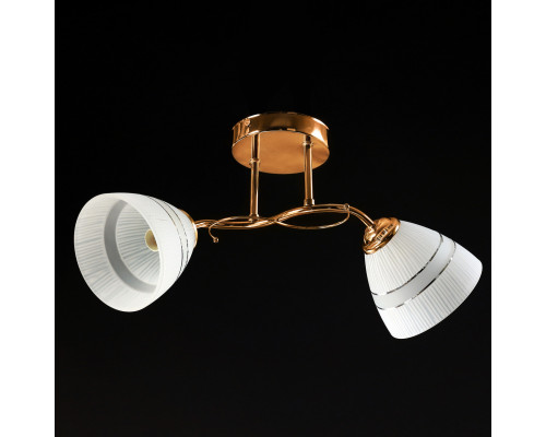 Потолочная люстра на два плафона, светильник SZ-19131-2A FGD