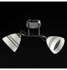 Потолочная люстра на два источника света SZ-19132-2A CR