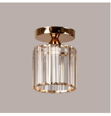 Светильник потолочный на один источник света SR-N3897-1H FG