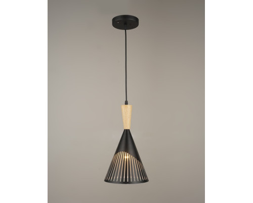 Люстра-подвес на один источник света SR-K2103-1H BK