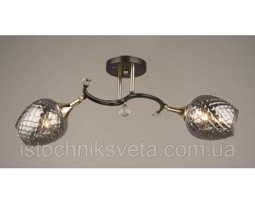 Люстра потолочная на два плафона, светильник SC-W3007-2 BK+FG