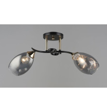 Потолочная люстра на два плафона, светильник SR-N4992-2 COFFEE-FGD