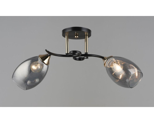 Потолочная люстра на два плафона, светильник SR-N4992-2 COFFEE-FGD