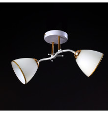 Люстра потолочная на два плафона, светильник SZ-19146-2 WT-FGD