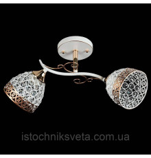 Потолочная люстра с металлическими плафонами SR-N3201-2 FG+WT