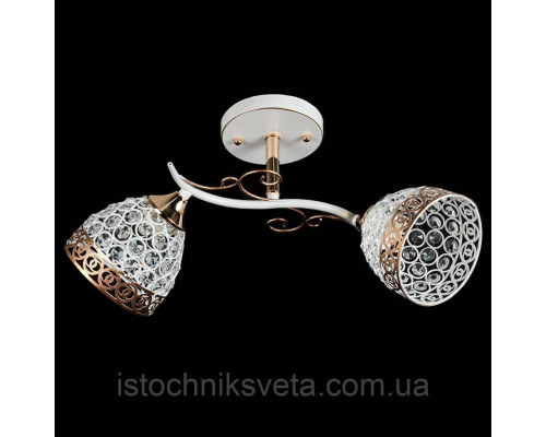 Потолочная люстра с металлическими плафонами SR-N3201-2 FG+WT