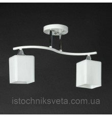 Потолочная люстра на два плафона SR-N4069-2 WT+CR
