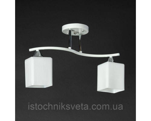 Потолочная люстра на два плафона SR-N4069-2 WT+CR