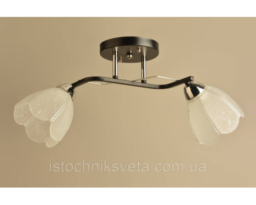 Потолочная люстра на два плафона, светильник SH-8335-2B BK+CR