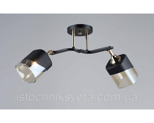 Люстра потолочная на два поворотных плафона SR-N5070-2 BK+FGD