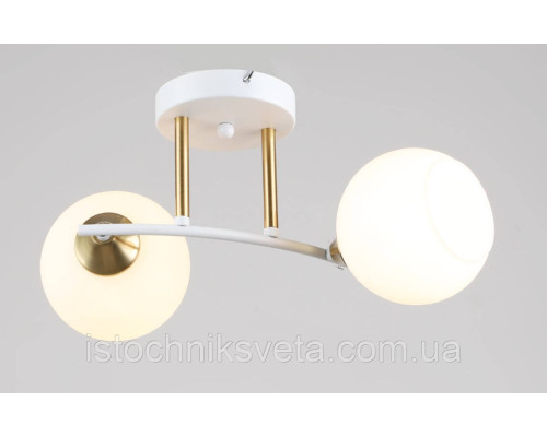 Потолочная люстра с металлическими плафонами SR-K2217-2 WT+COP