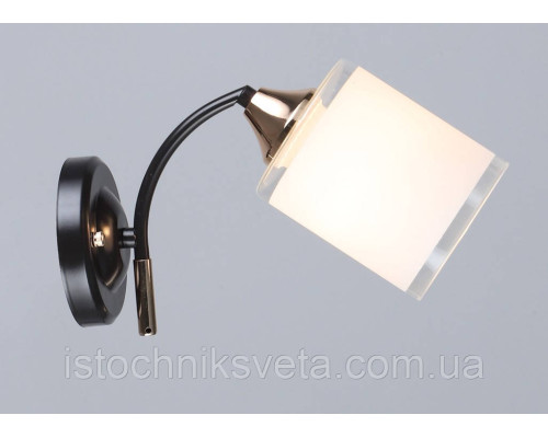 SR-N6089-1W COFFEE+FGD