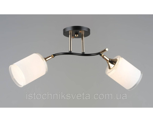 Потолочная люстра на два поворотных плафона SR-N6089-2 COFFEE+FGD