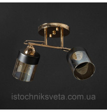Потолочная люстра на два плафона, светильник SH-8099-2A FG