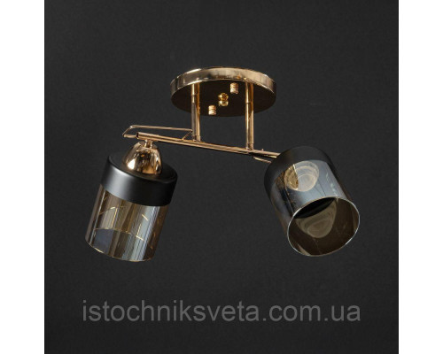 Потолочная люстра на два плафона, светильник SH-8099-2A FG