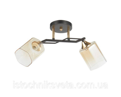 Люстра потолочная на два плафона SC-6286-2 BK+FG