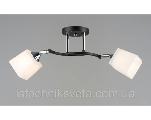 Потолочная люстра на два поворотных плафона SR-N6106-2 BK+CR