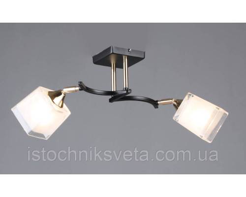 Люстра потолочная на два поворотных плафона SR-N6404-2 BK+FGD